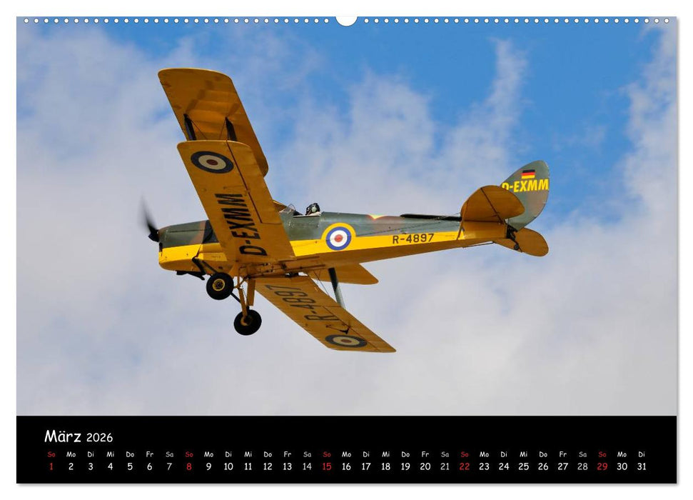 Doppeldecker - Veteranen der Lüfte (CALVENDO Premium Wandkalender 2026)