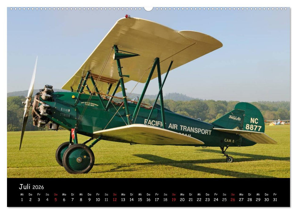 Doppeldecker - Veteranen der Lüfte (CALVENDO Premium Wandkalender 2026)