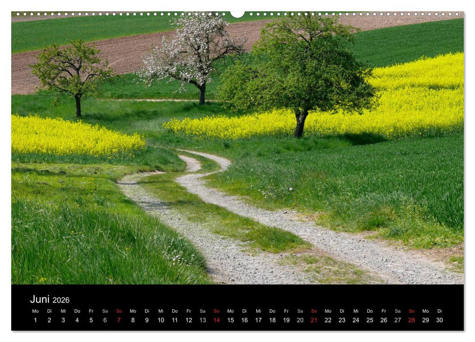 Wege 2026 (CALVENDO Wandkalender 2026)