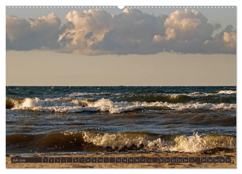 Die perfekte Welle (CALVENDO Premium Wandkalender 2026)