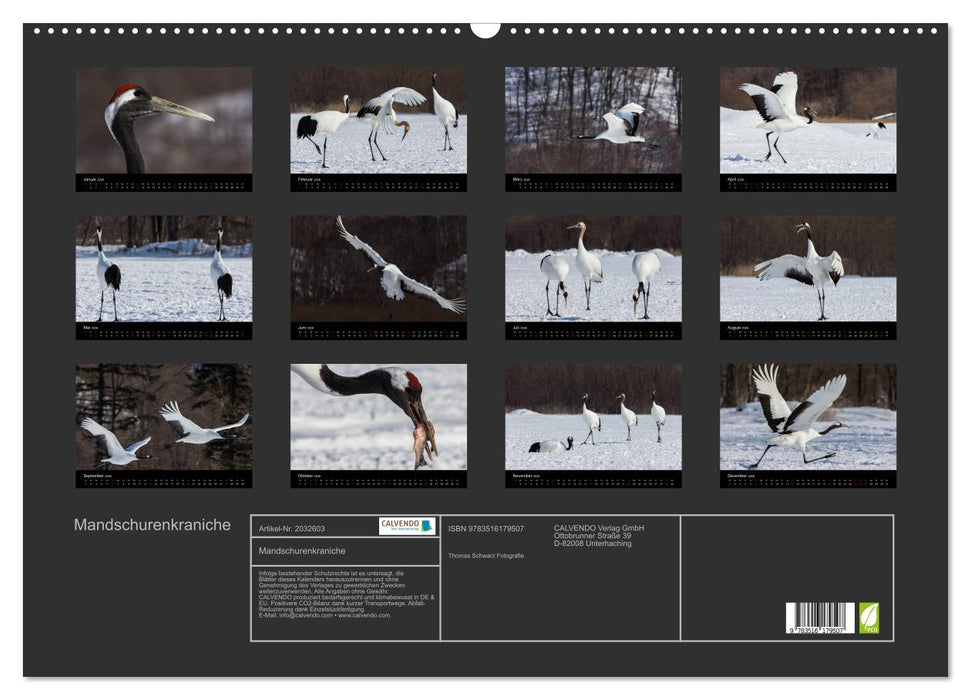 Mandschurenkraniche (CALVENDO Wandkalender 2026)