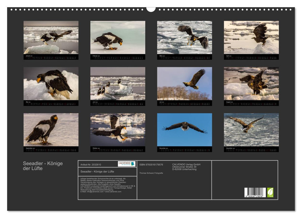 Seeadler - Könige der Lüfte (CALVENDO Wandkalender 2026)