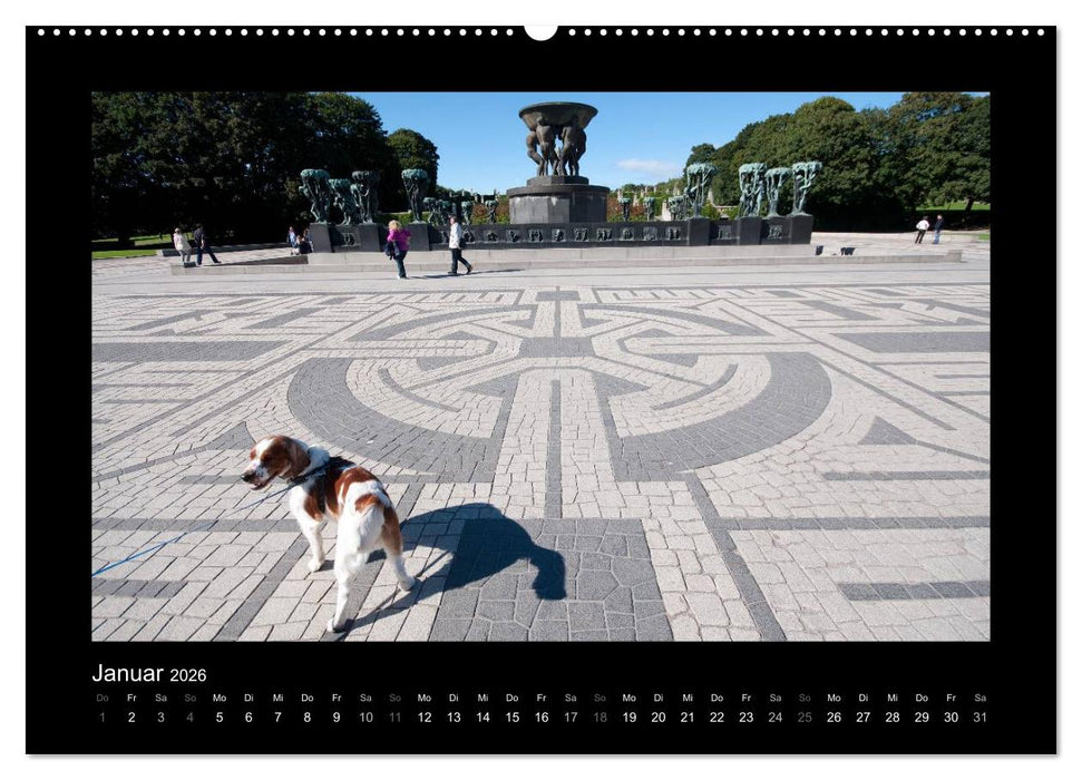 Oslo (CALVENDO Premium Wandkalender 2026)