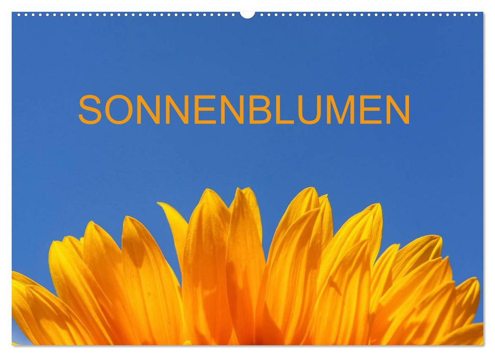 Sonnenblumen (CALVENDO Wandkalender 2026)