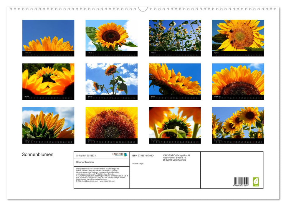 Sonnenblumen (CALVENDO Wandkalender 2026)
