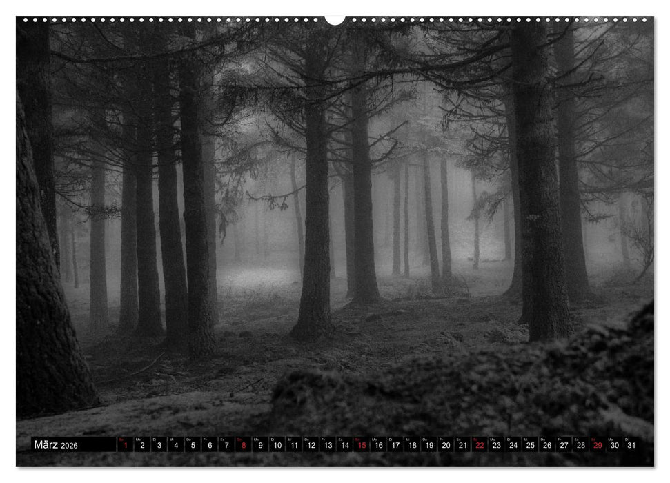 Stille Momente in Schwarz-Weiss (CALVENDO Premium Wandkalender 2026)