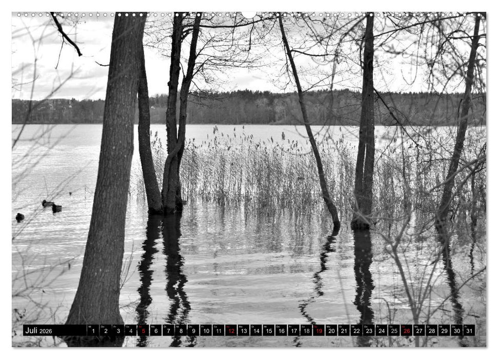 Stille Momente in Schwarz-Weiss (CALVENDO Premium Wandkalender 2026)