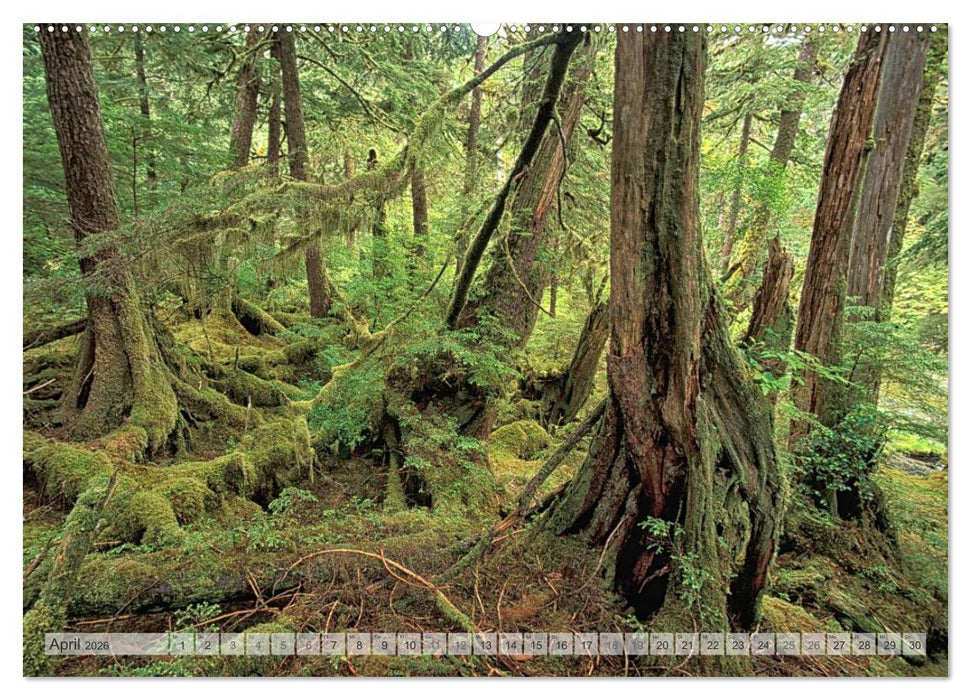 KANADA Christian Heeb (CALVENDO Premium Wandkalender 2026)