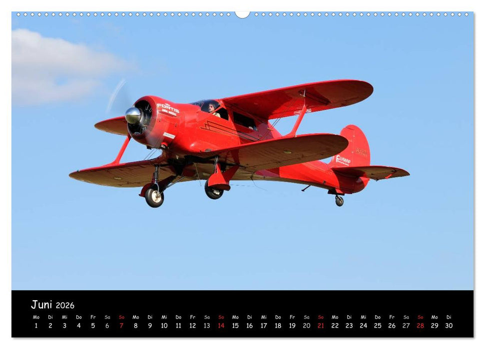 Doppeldecker - Veteranen der Lüfte (CALVENDO Wandkalender 2026)