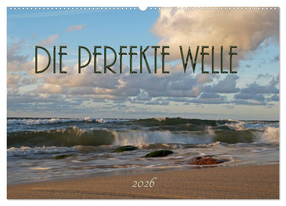 Die perfekte Welle (CALVENDO Wandkalender 2026)