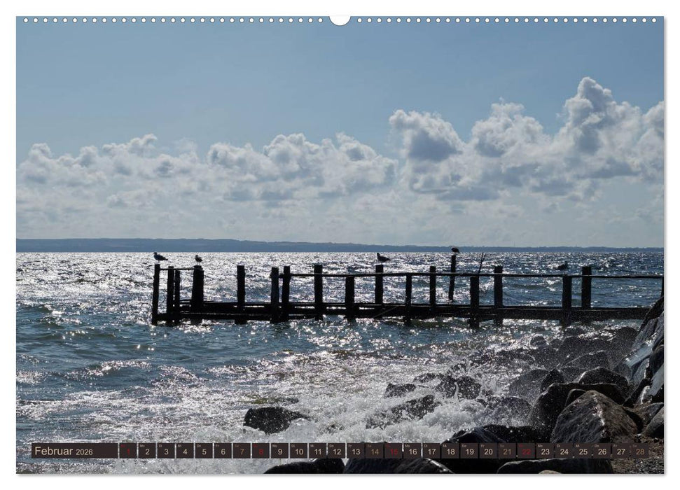 Die perfekte Welle (CALVENDO Wandkalender 2026)