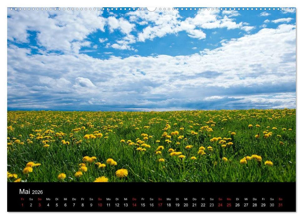 Farben der Natur (CALVENDO Premium Wandkalender 2026)
