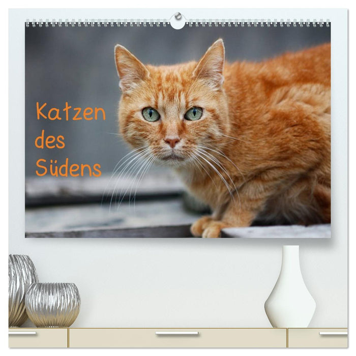 Katzen des Südens (CALVENDO Premium Wandkalender 2026)