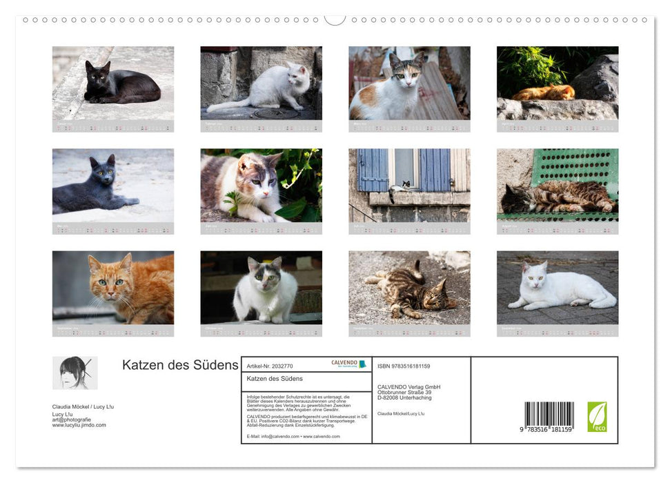 Katzen des Südens (CALVENDO Premium Wandkalender 2026)