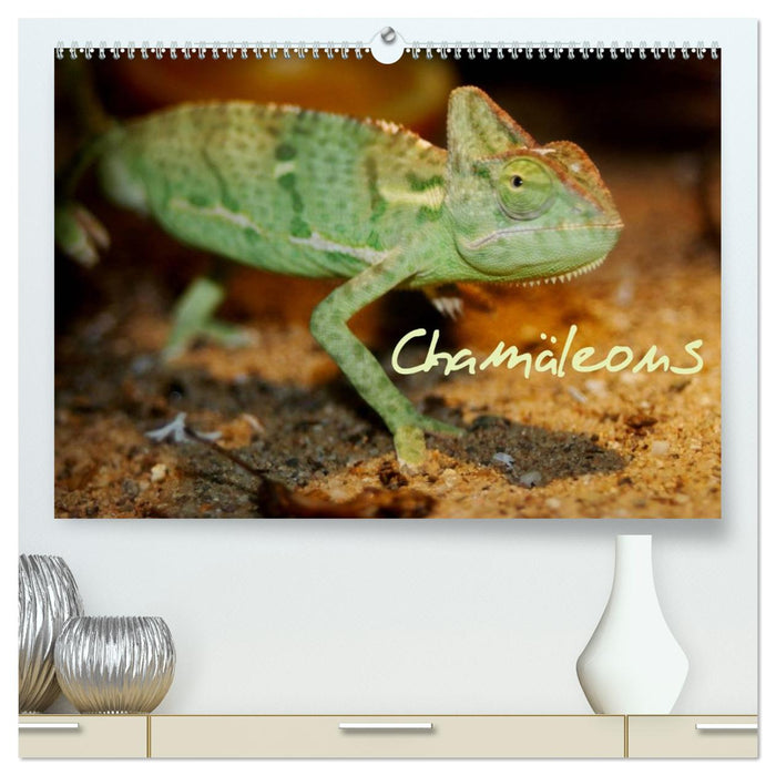 Chamäleons (CALVENDO Premium Wandkalender 2026)