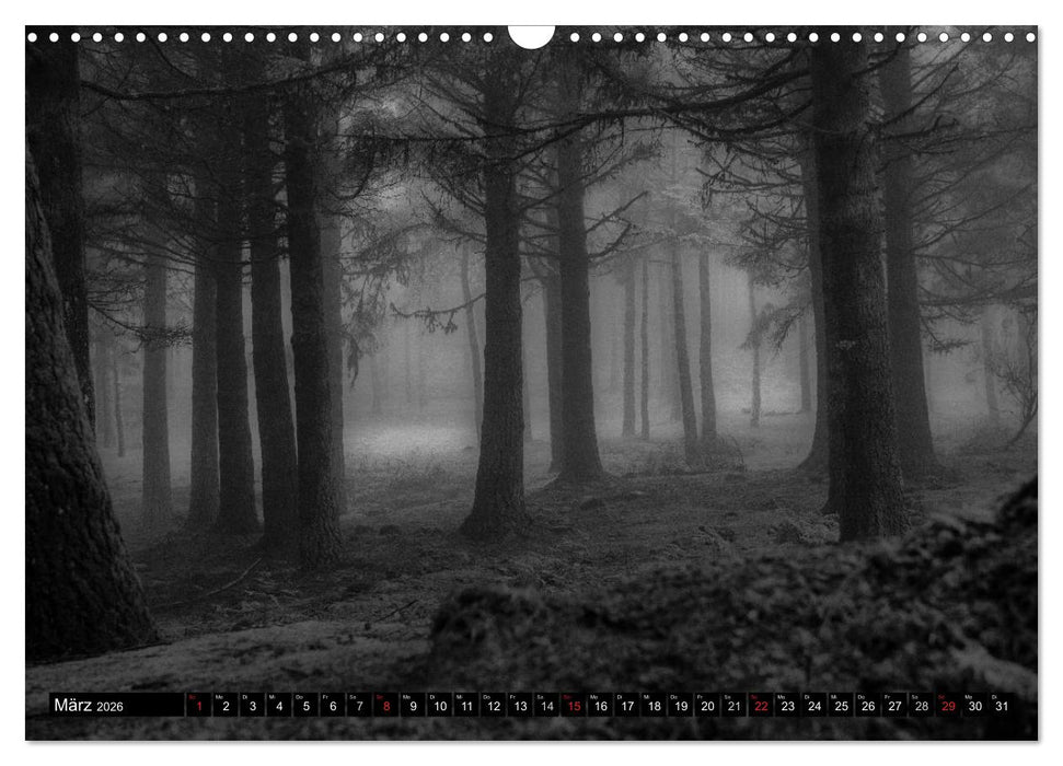 Stille Momente in Schwarz-Weiss (CALVENDO Wandkalender 2026)