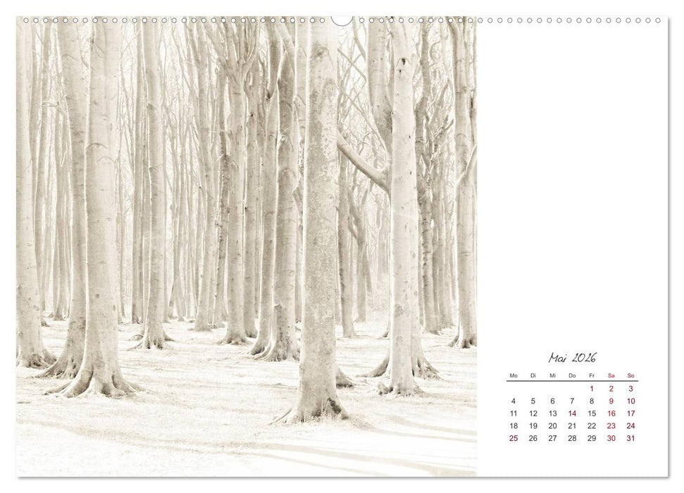 Kalendersprüche (CALVENDO Premium Wandkalender 2026)