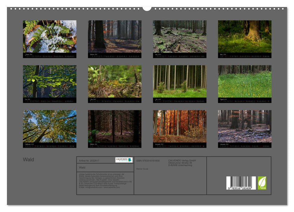 Wald (CALVENDO Premium Wandkalender 2026)