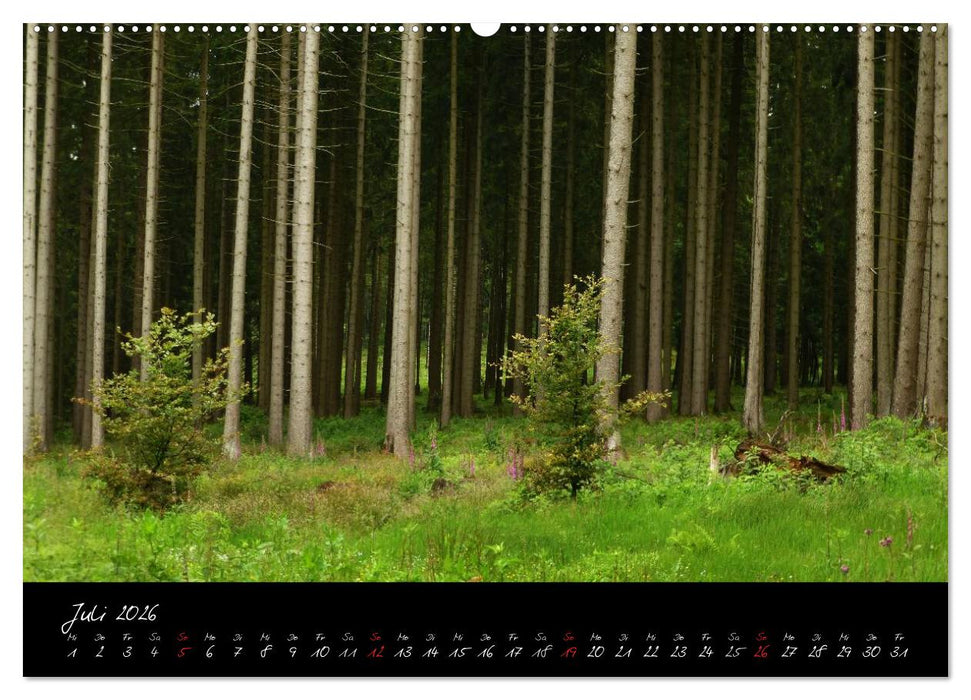 Wald (CALVENDO Premium Wandkalender 2026)