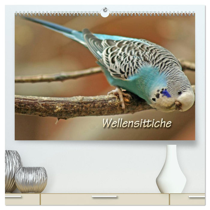 Wellensittiche (CALVENDO Premium Wandkalender 2026)