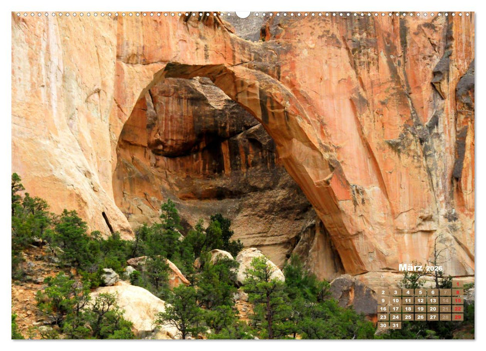 Wundervolles Amerika (CALVENDO Premium Wandkalender 2026)