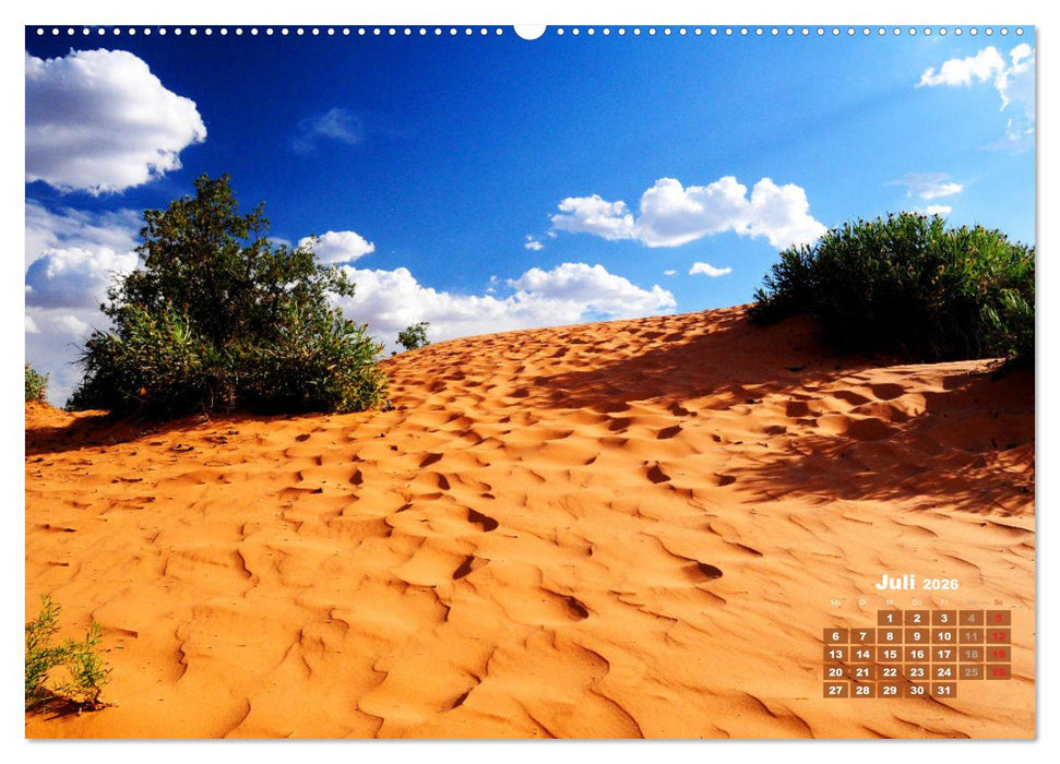 Wundervolles Amerika (CALVENDO Premium Wandkalender 2026)