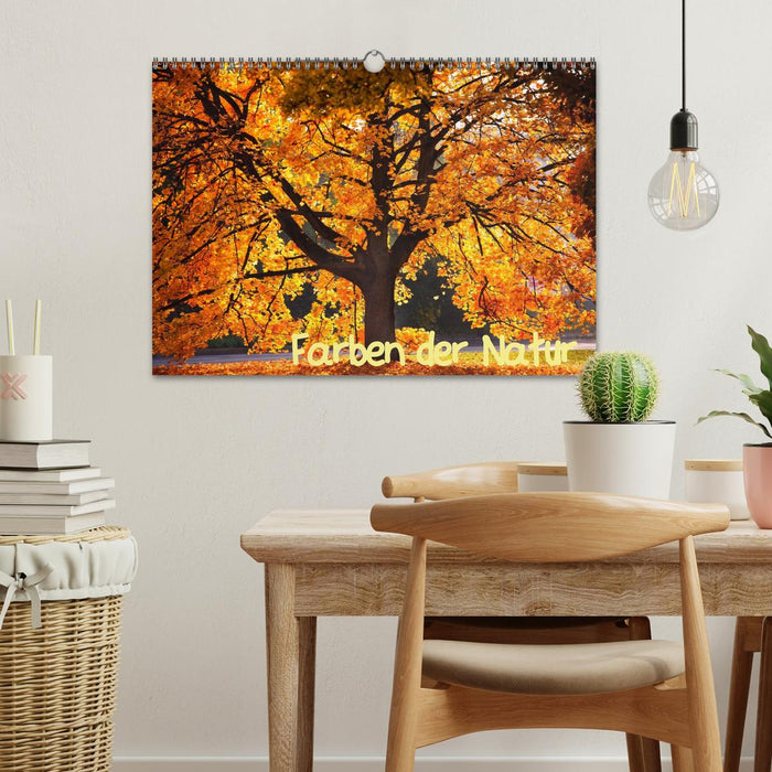 Farben der Natur (CALVENDO Wandkalender 2026)