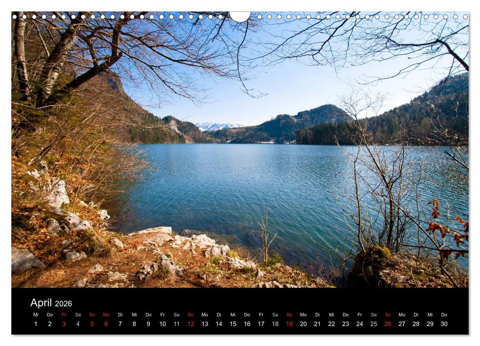 Farben der Natur (CALVENDO Wandkalender 2026)