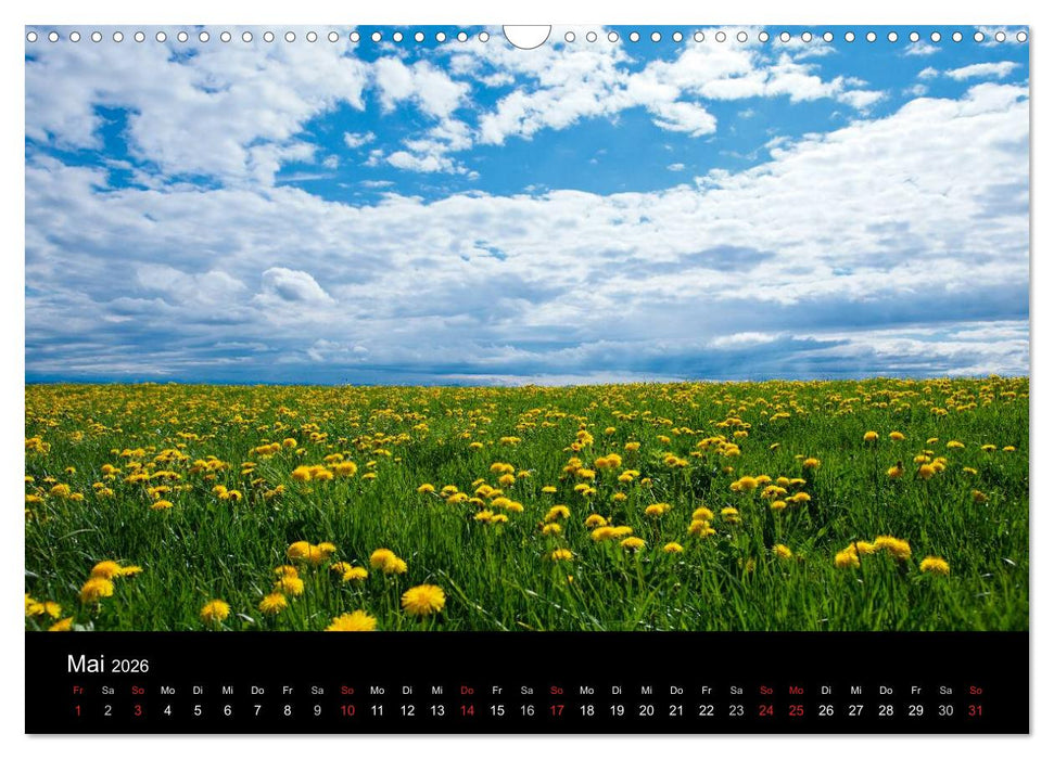 Farben der Natur (CALVENDO Wandkalender 2026)