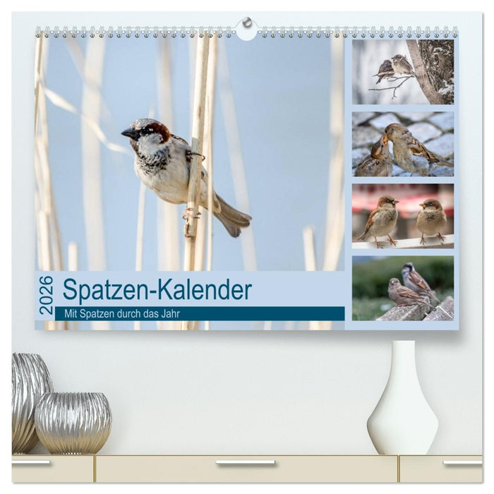 Spatzen-Kalender (CALVENDO Premium Wandkalender 2026)