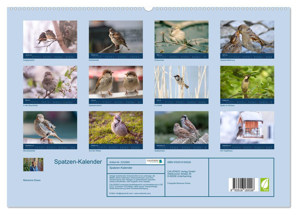 Spatzen-Kalender (CALVENDO Premium Wandkalender 2026)