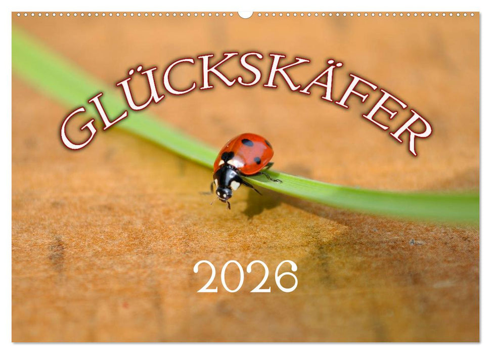Marienkäfer 2026 (CALVENDO Wandkalender 2026)