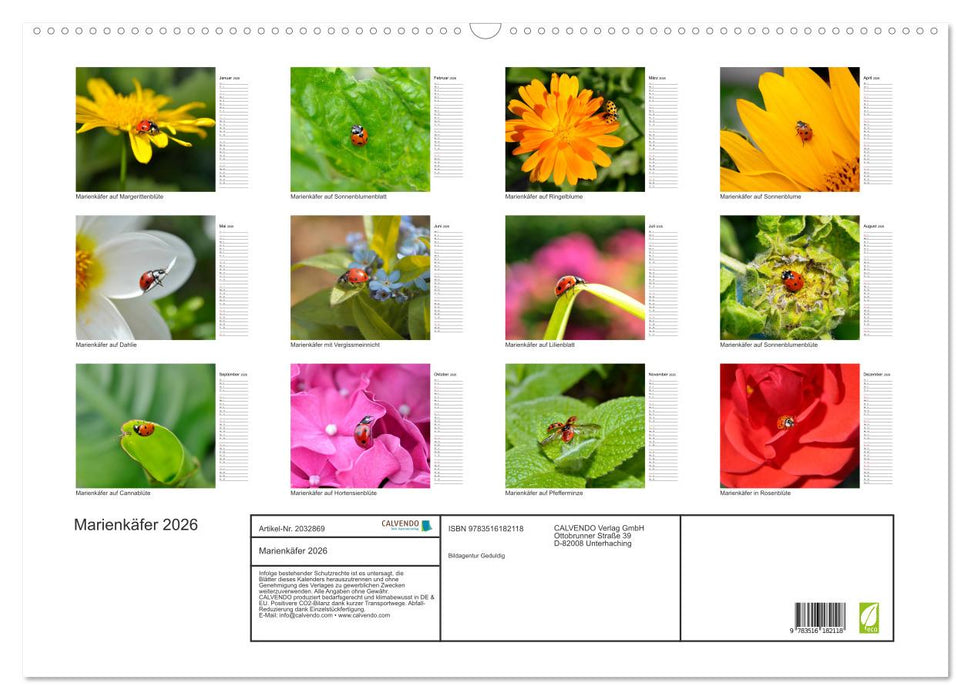 Marienkäfer 2026 (CALVENDO Wandkalender 2026)
