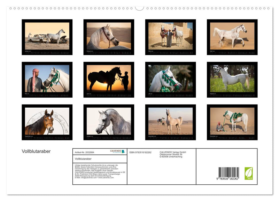 Vollblutaraber (CALVENDO Premium Wandkalender 2026)