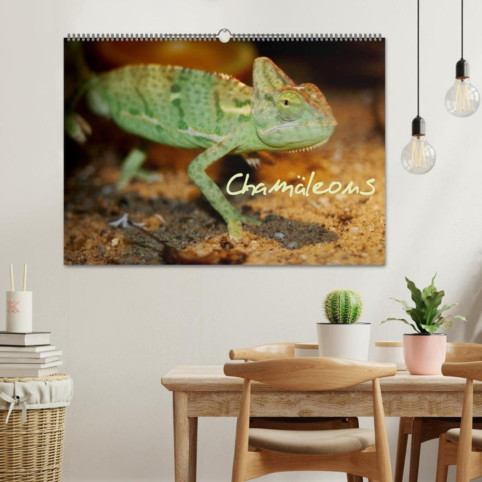 Chamäleons (CALVENDO Wandkalender 2026)