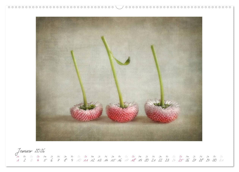 Vintage Flowers (CALVENDO Wandkalender 2026)