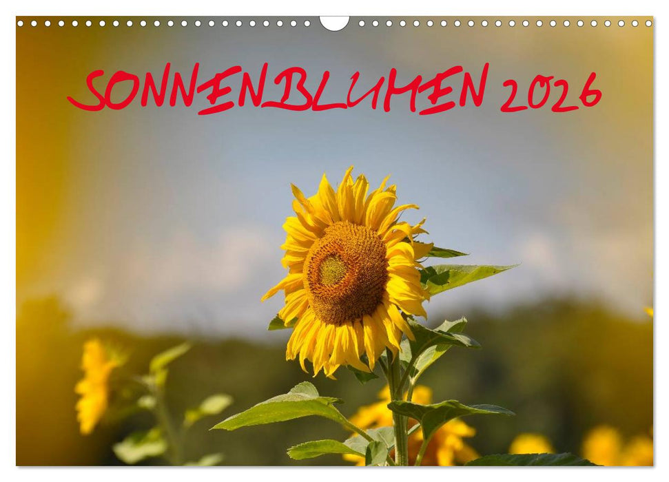 Sonnenblumen 2026 (CALVENDO Wandkalender 2026)