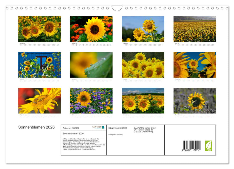 Sonnenblumen 2026 (CALVENDO Wandkalender 2026)