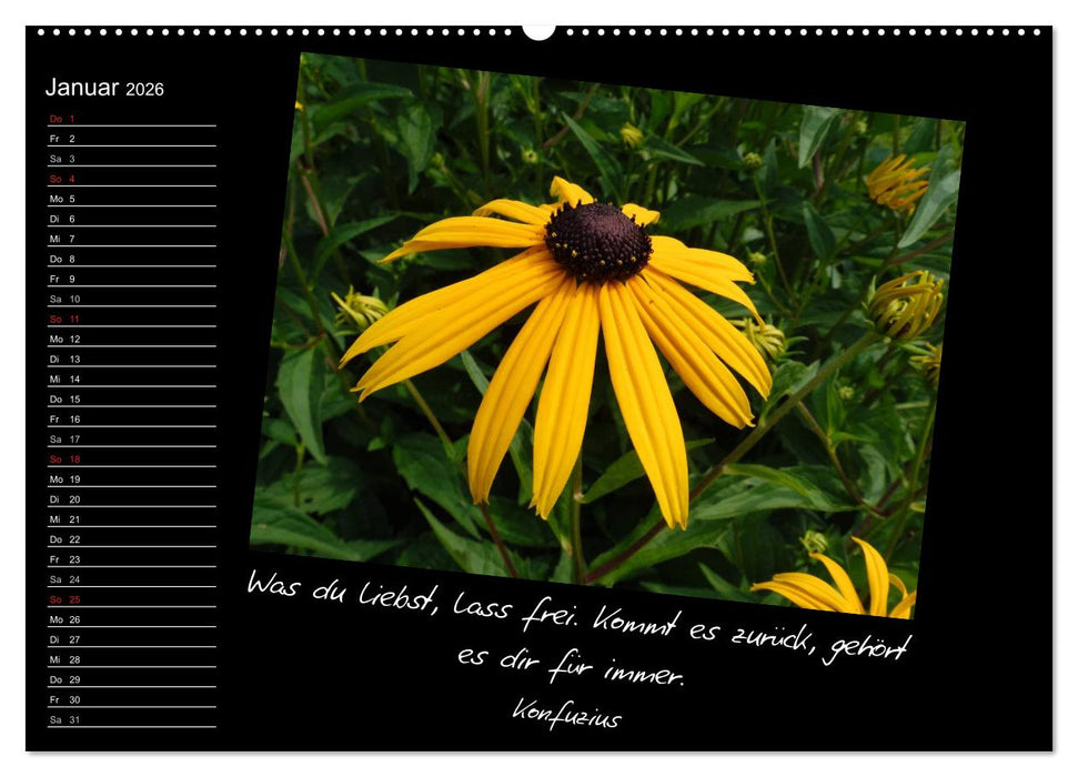 Gelbe Lebensfreude (CALVENDO Premium Wandkalender 2026)