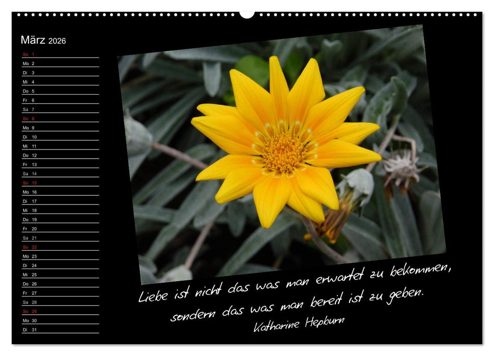 Gelbe Lebensfreude (CALVENDO Premium Wandkalender 2026)