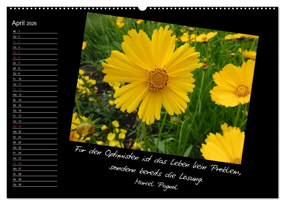 Gelbe Lebensfreude (CALVENDO Premium Wandkalender 2026)