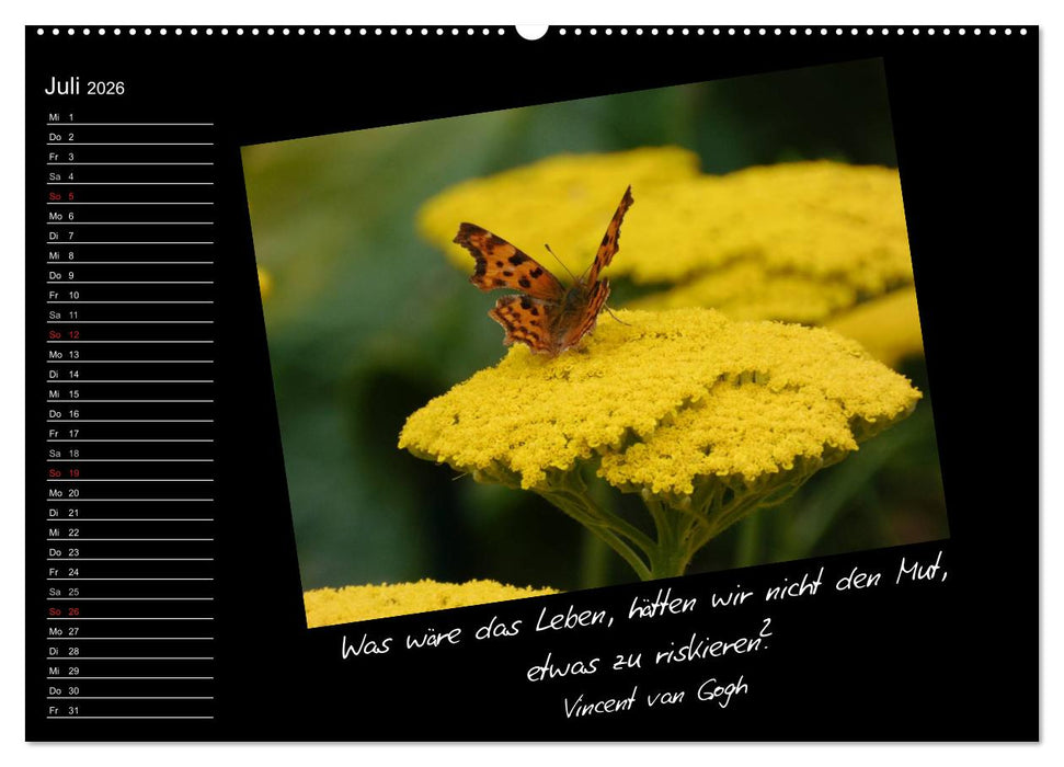Gelbe Lebensfreude (CALVENDO Premium Wandkalender 2026)