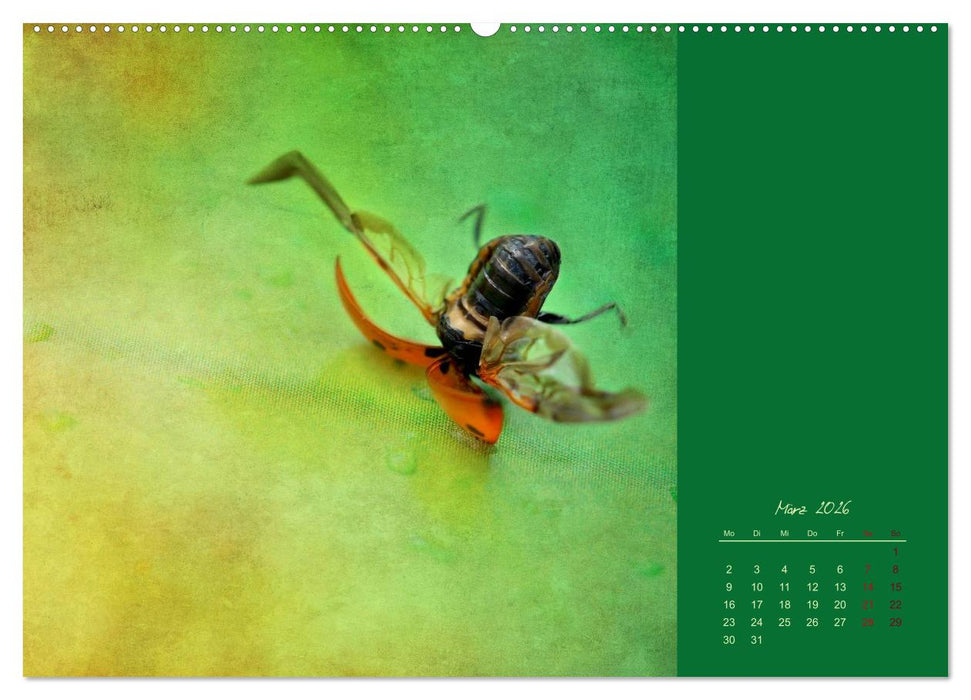 Kalendersprüche (CALVENDO Wandkalender 2026)