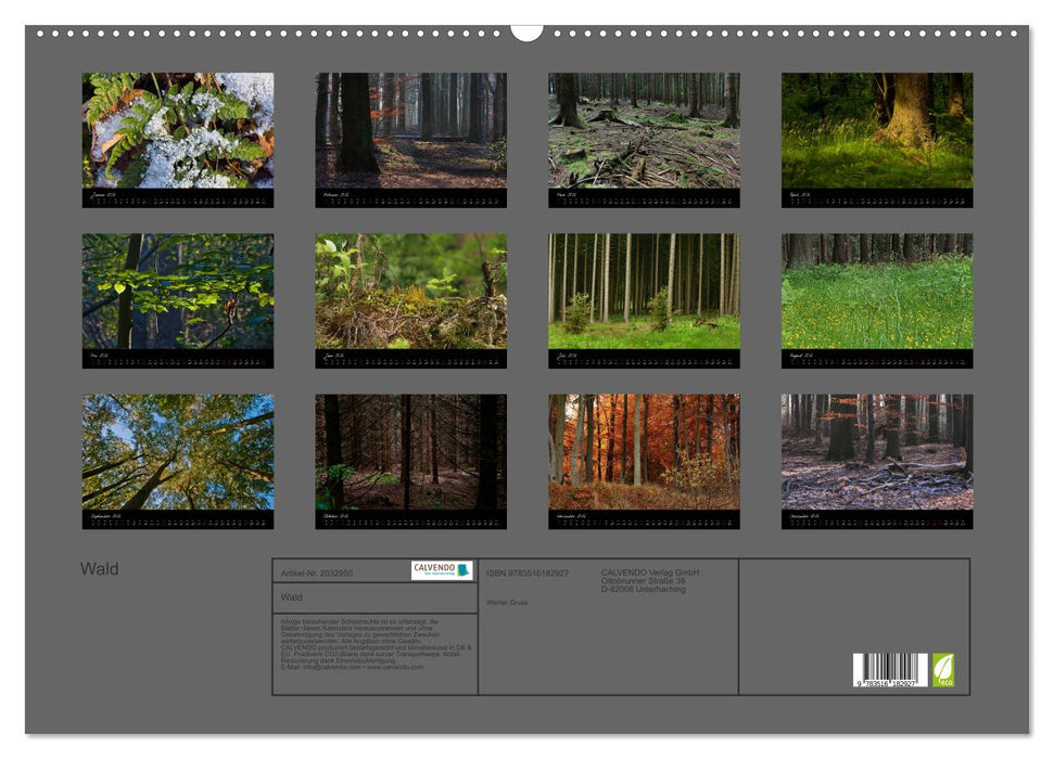 Wald (CALVENDO Wandkalender 2026)