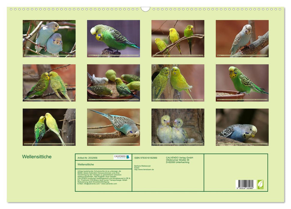 Wellensittiche (CALVENDO Wandkalender 2026)