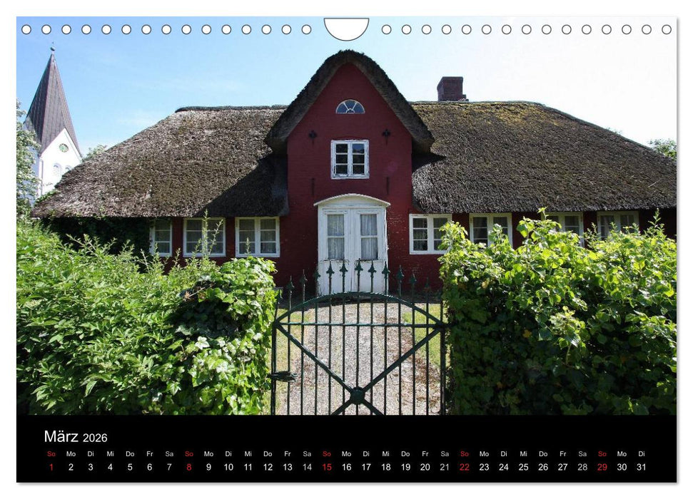 Die Insel Amrum (CALVENDO Wandkalender 2026)