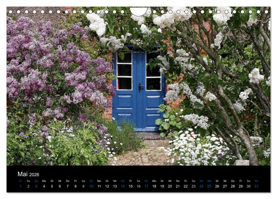 Die Insel Amrum (CALVENDO Wandkalender 2026)