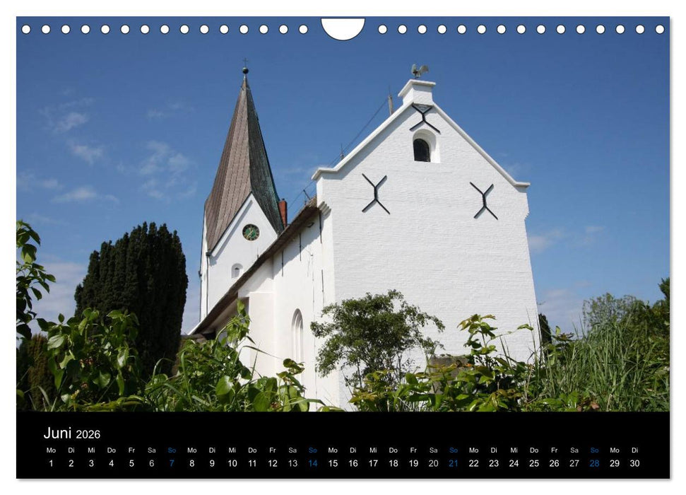 Die Insel Amrum (CALVENDO Wandkalender 2026)