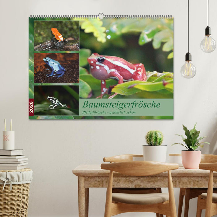 Baumsteigerfrösche. Pfeilgiftfrösche - gefährlich schön (CALVENDO Wandkalender 2026)