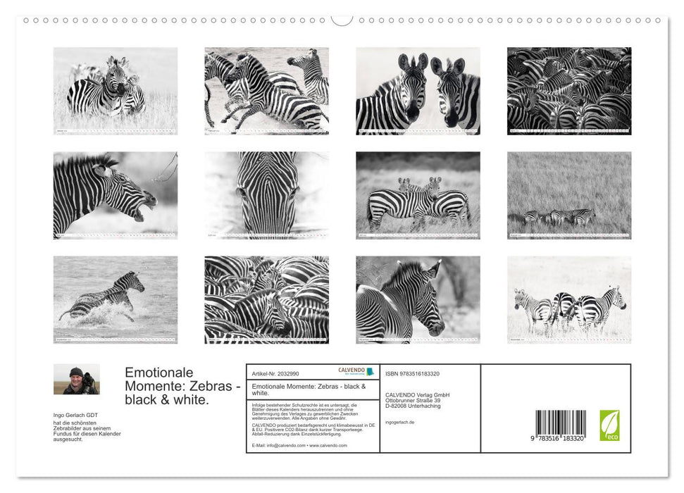 Emotionale Momente: Zebras - black & white. (CALVENDO Premium Wandkalender 2026)